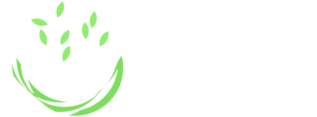 3rd International Conference on Innovation in Health